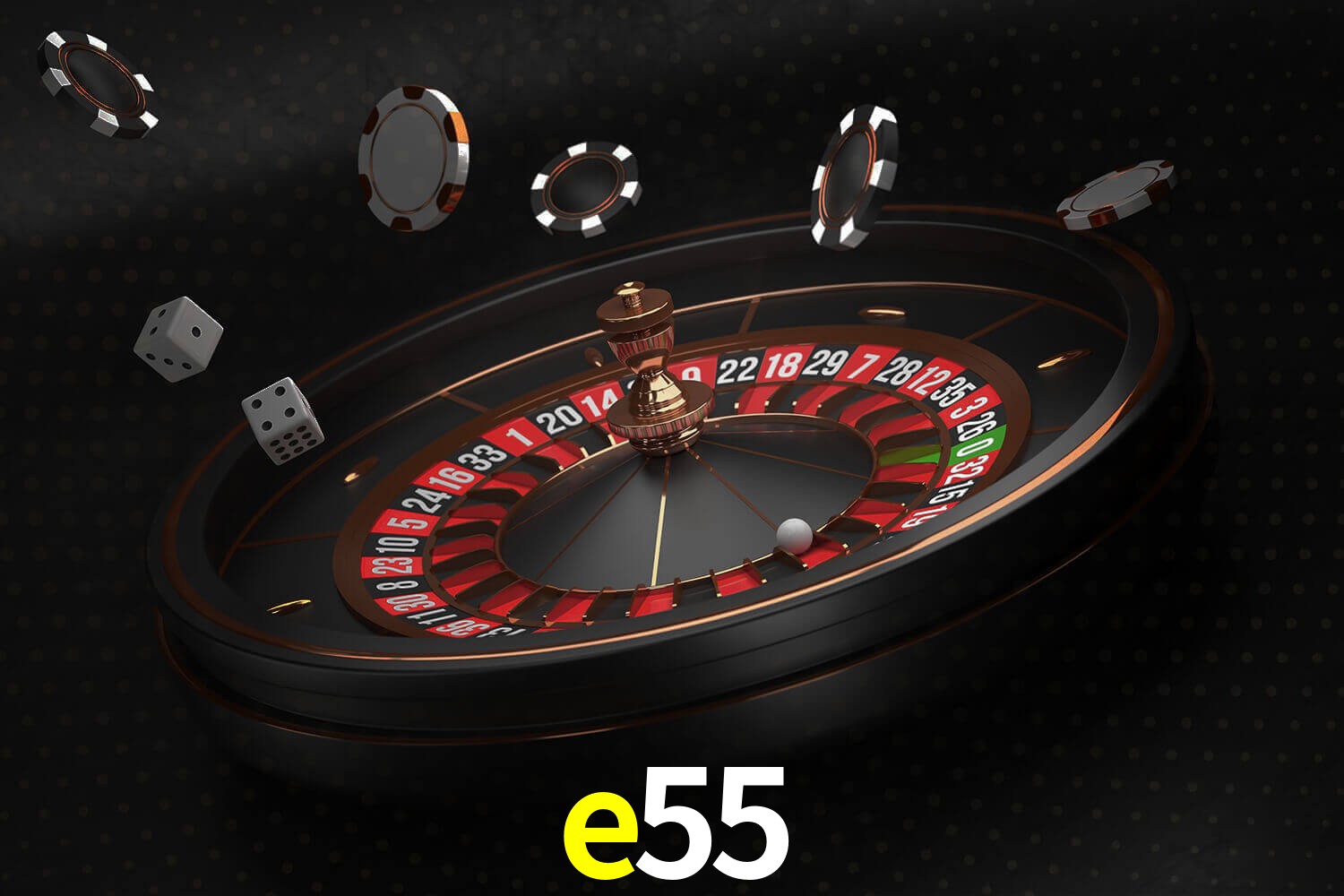 e55.com