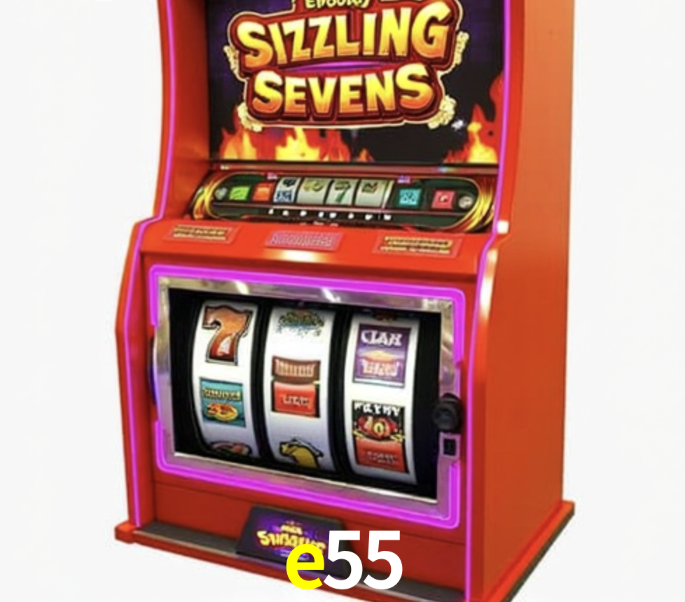 Security Systems e55